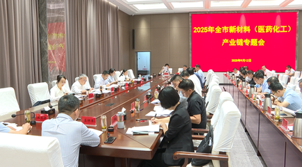 化工新材料产业链招商工作总结