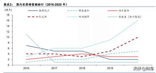 2020年化工新项目