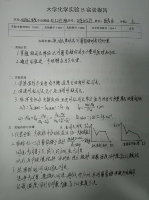 化工试验报告