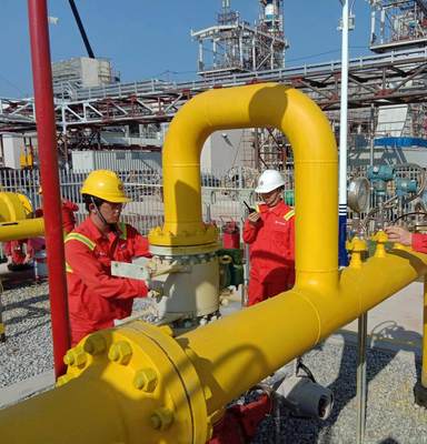 化工项目小试要走什么手续