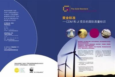 化工政策洞察心得体会怎么写